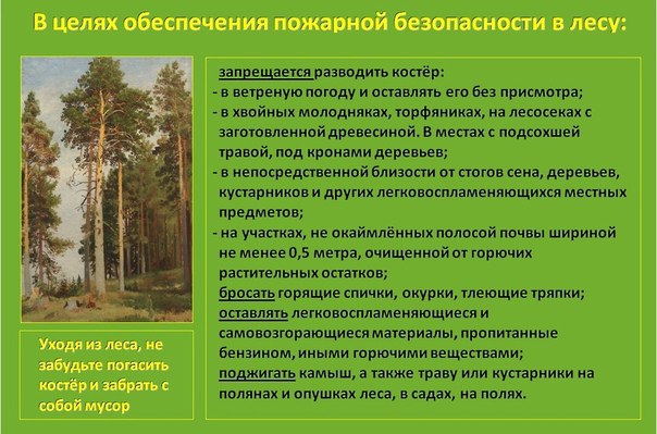 Запрет действий в лесу