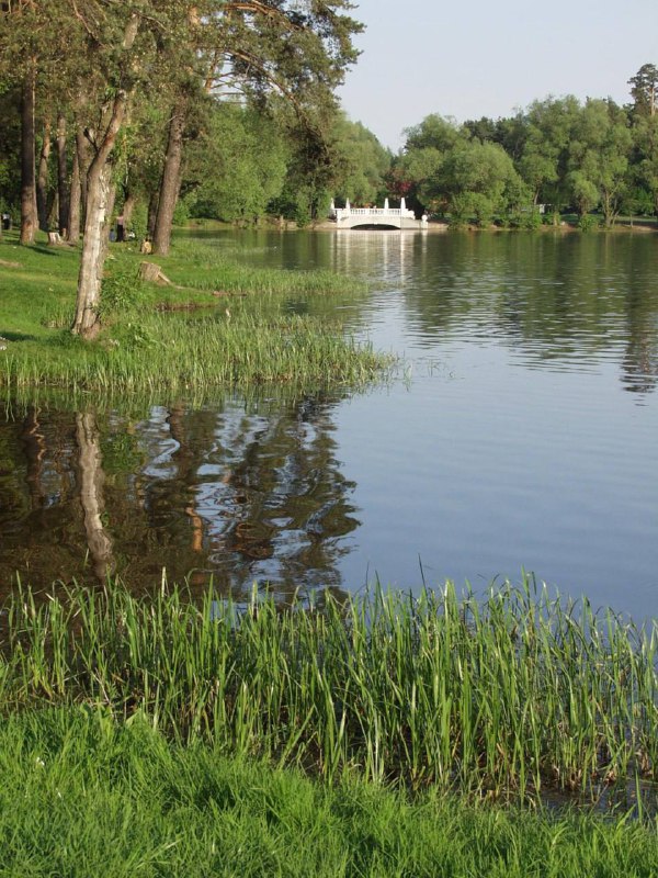 Кратовское озеро расчистят в Раменском