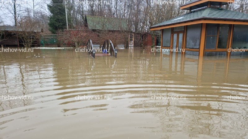 Дома затопило из-за бездействия властей в Чехове