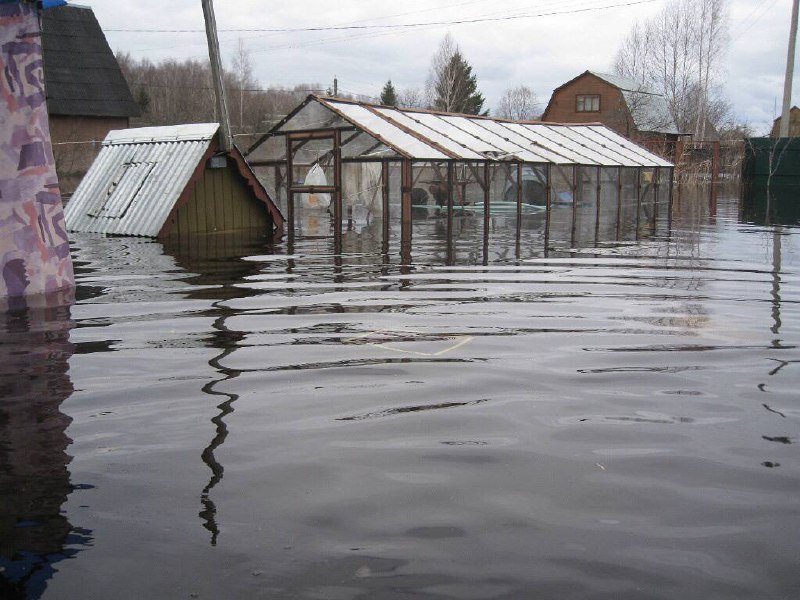Дома затопило под Дмитровом