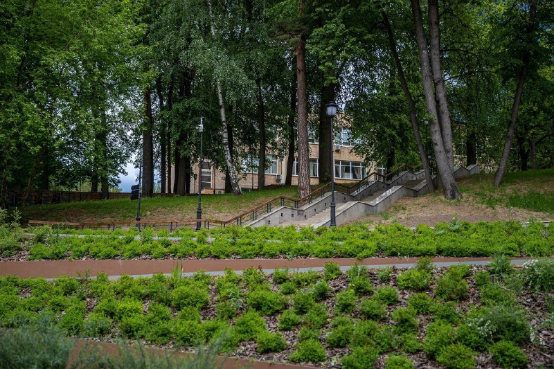 Парки в раменском районе. Раменский парк усадьба. Раменский район парк. Парк с родниками.