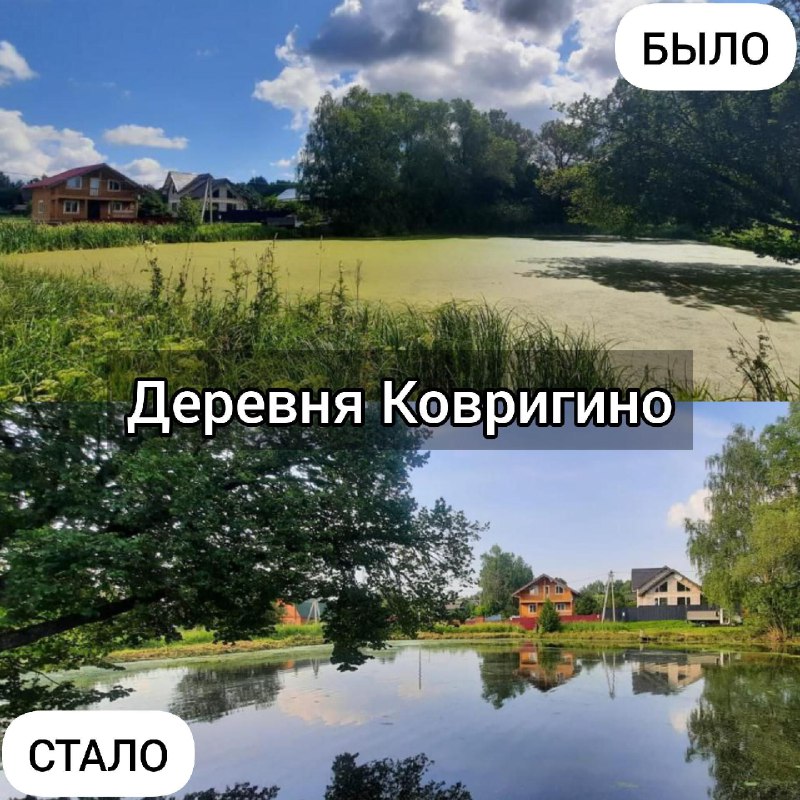 Работы по очистке водоёмов продолжаются в Дмитрове