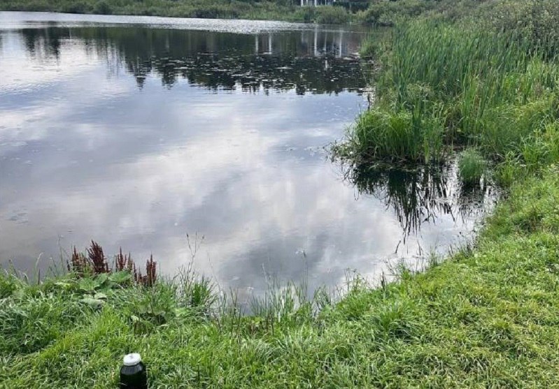 Свободный доступ к пруду требует восстановить Минэкологии в Домодедово