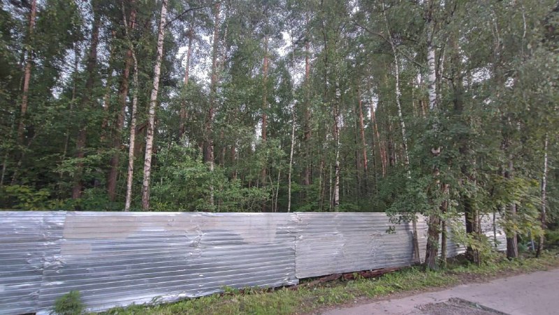 Ответа от лесничества по факту вырубки леса не могут дождаться жители Щелково