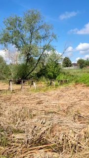 Пруд в селе Пестриково расчищают в Коломне