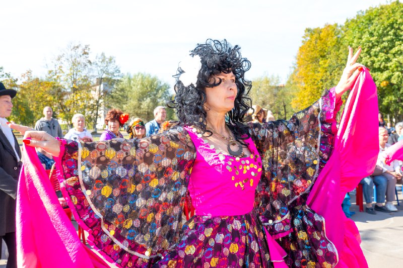 Цыганский фестиваль провели долголеты Дубны