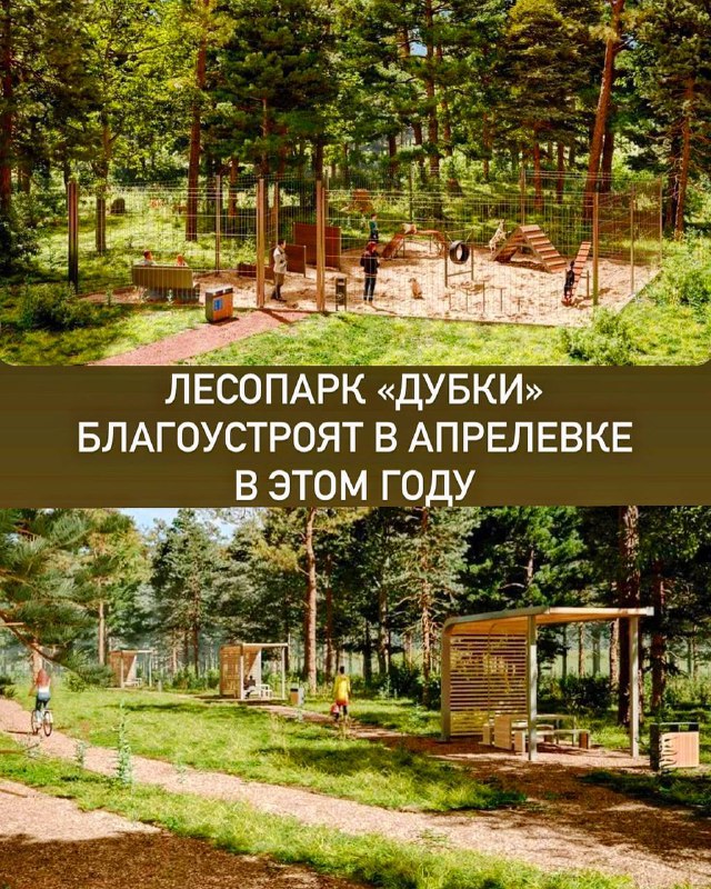 Лесопарк «Дубки» откроется в Апрелевке в 2024 году
