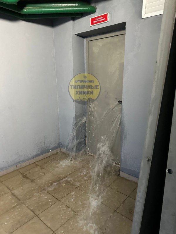 Там где они станут