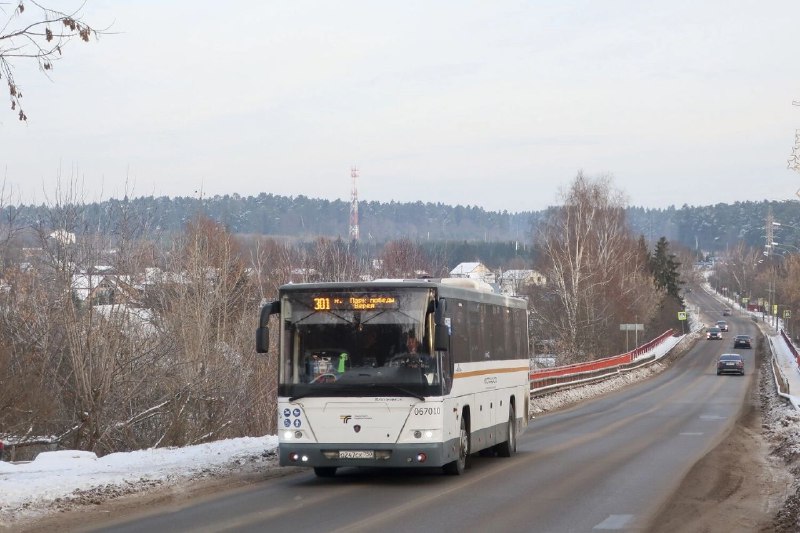 Против отмены единственного прямого автобусного маршрута до Москвы борются жители Вереи