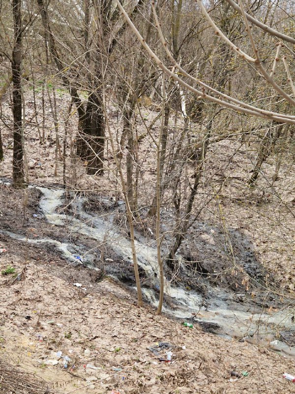 Аварийный сброс канализации идет в районе Скобянки Сергиева Посада