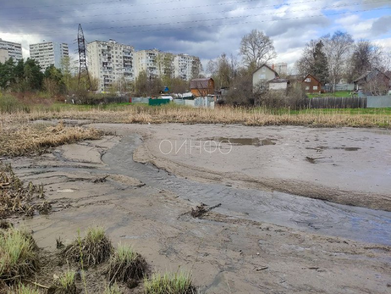Глазынинский пруд обмелел в Одинцово