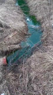 Зелёная река от производства течет в пруд в Подольске