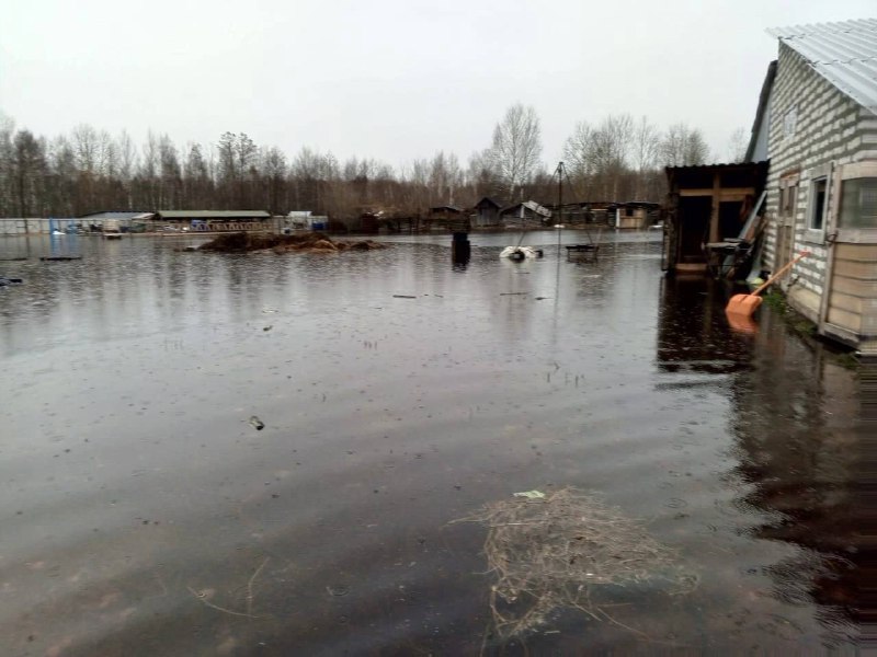 Поселок Пустоши затопило в Шатуре