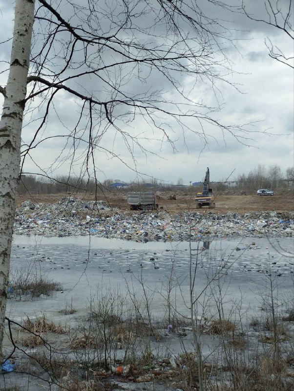 Мусором засыпают территорию озера рядом с аэропортом в Жуковском