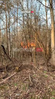 Пожар в Мытищах — горит заброшенное здание 13.04.2024
