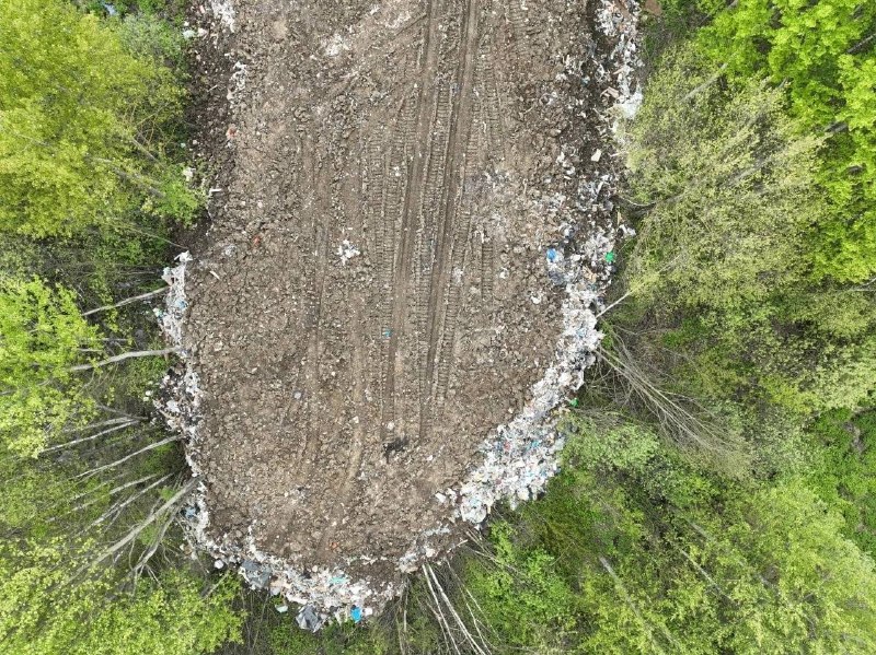 Лес засыпают мусором в Долгопрудном