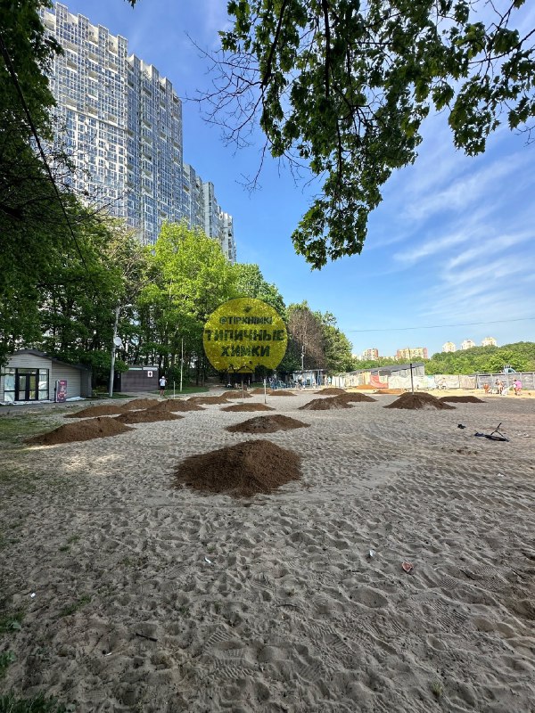 Темно-коричневый песок завезли на пляж парка Толстого в Химках
