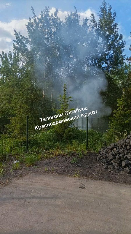 Пожар в Красноармейске — горит лес 31.05.2024